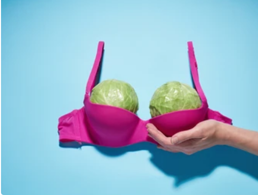 Cabbage held inside a bra supported by a hand