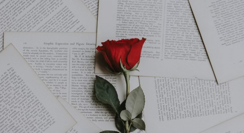 A red rose on some pages of a book