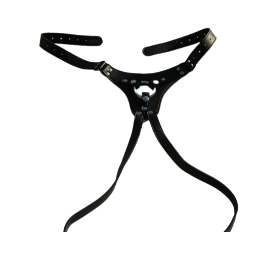 sangya-manzuri-harness-2