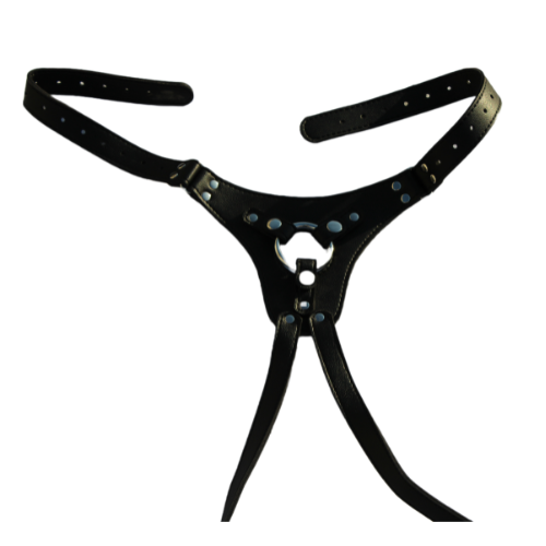 sangya-manzuri-harness-1