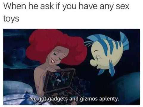 A meme on sex toys with Disney Princess Ariel talking to a fish